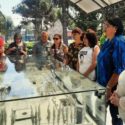 Concluye visita a Chile Instituto Cubano de Amistad con los Pueblos